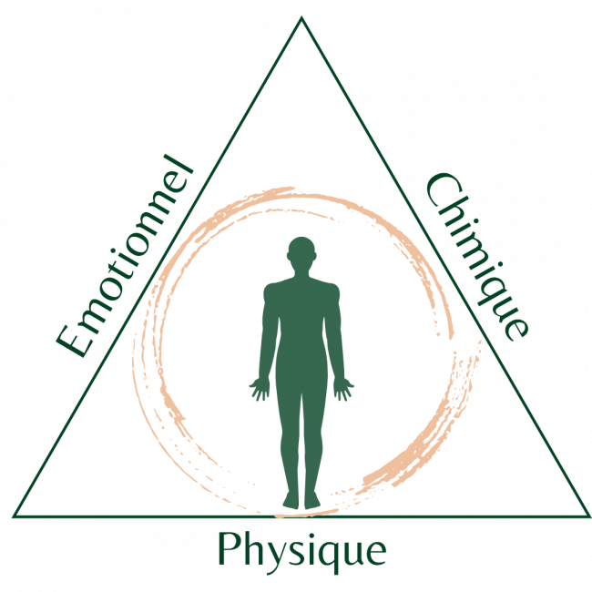 chiropratique triangle de la santé